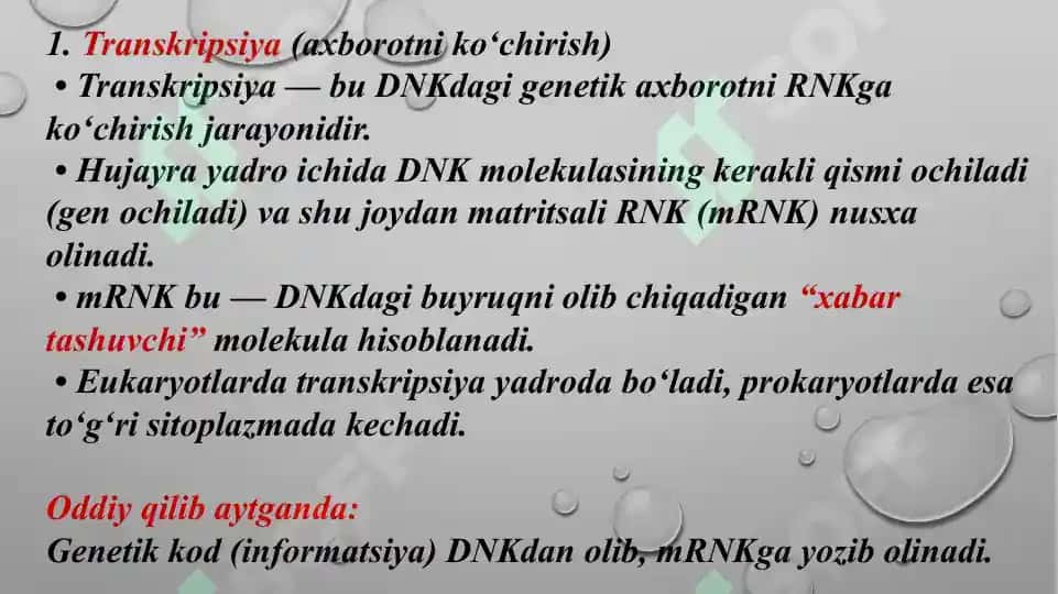 Oqsil biosintezi ingibitorlari 4