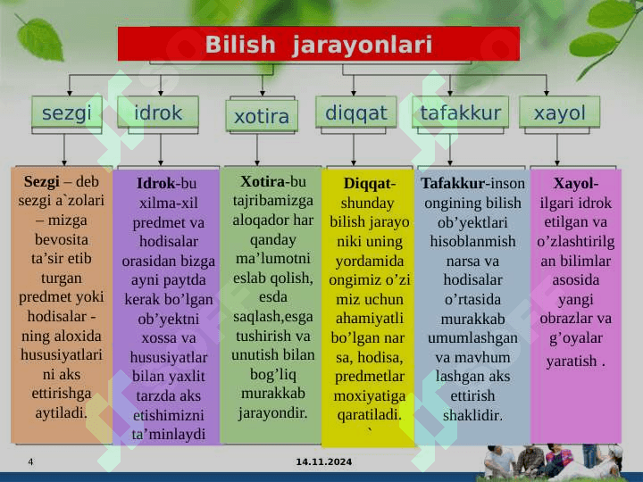 Bilish jarayonlari 4