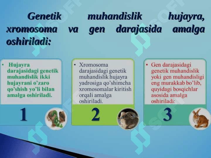 Hayvon gen muhandisligi 6