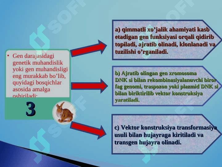 Hayvon gen muhandisligi 7