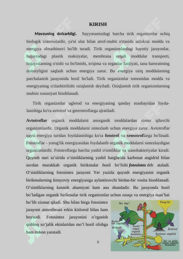 Tabiy fanlar darsligida  tirik organizmlar mavzusini o'rgatish usullari 2