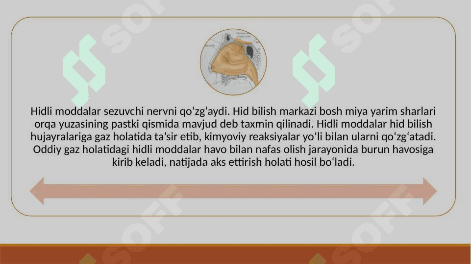 HID BILISH A’ZOSI 3