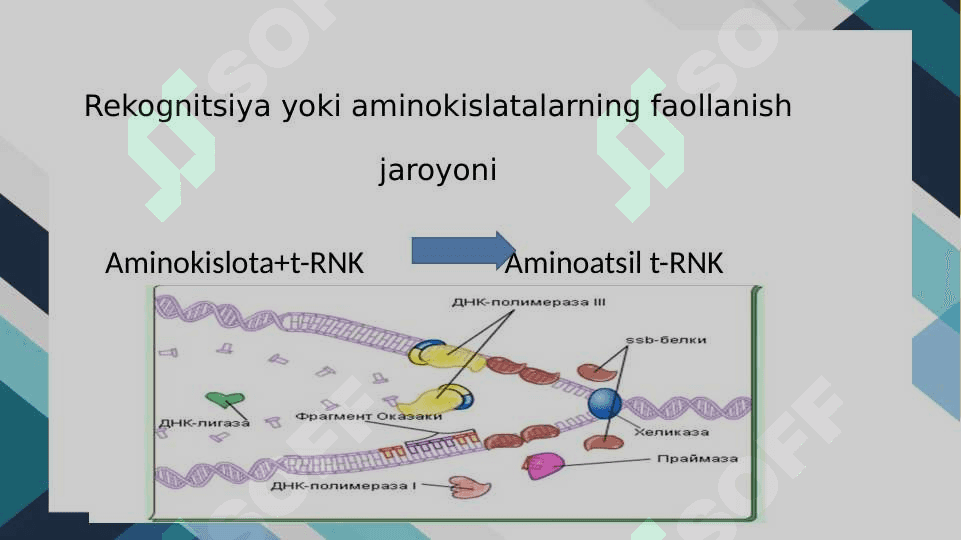 OQSIL BIOSINTEZI 4