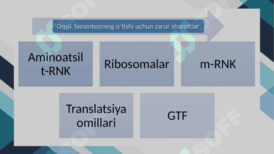 OQSIL BIOSINTEZI 5