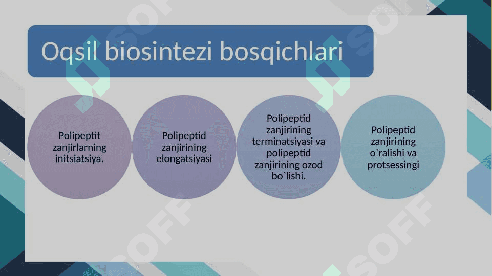 OQSIL BIOSINTEZI 6
