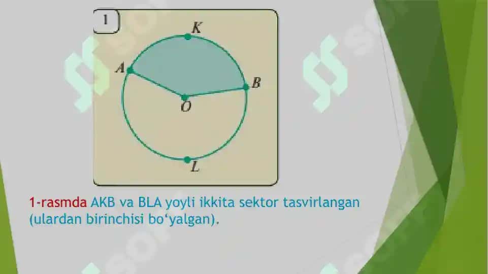 Doira bo’laklarining yuzi 3
