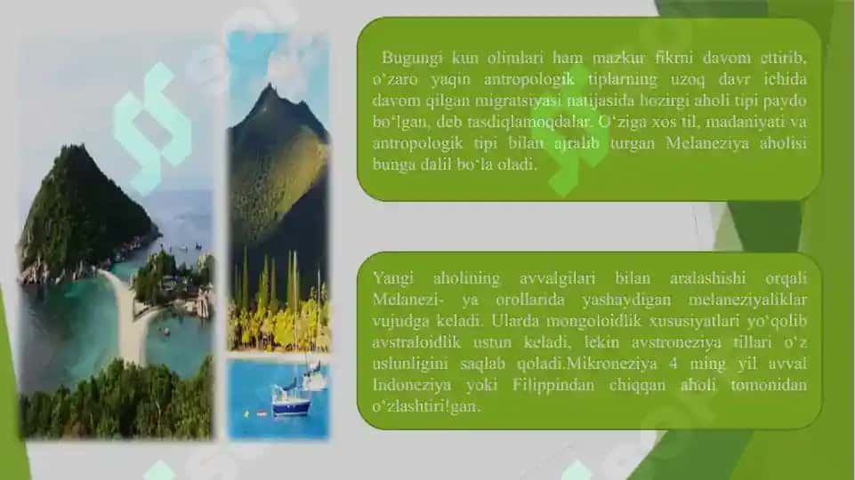 Melaneziya xalqlari xoʻjaligi va madaniyati 6