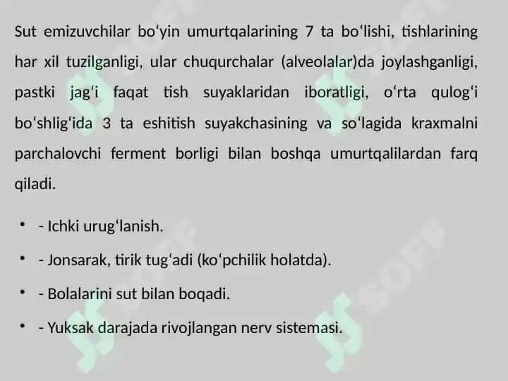 Sutemizuvchilar sinfi 3