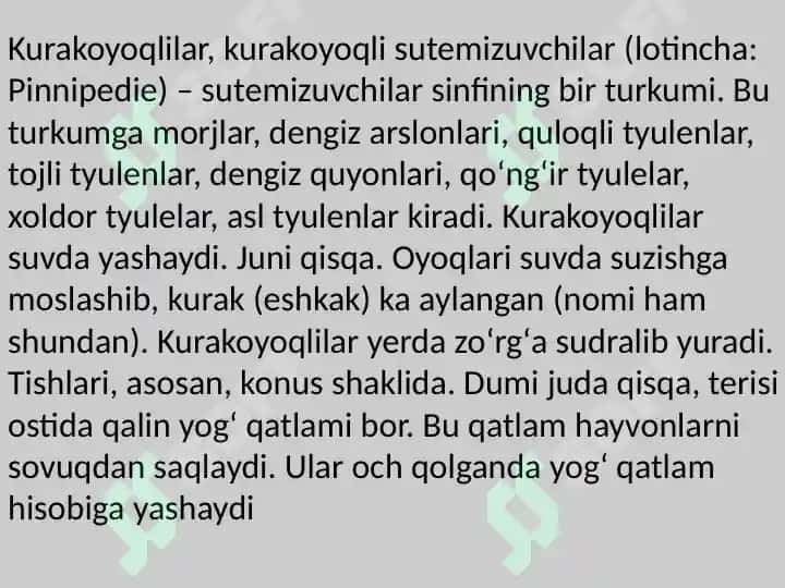 Sutemizuvchilar sinfi 8