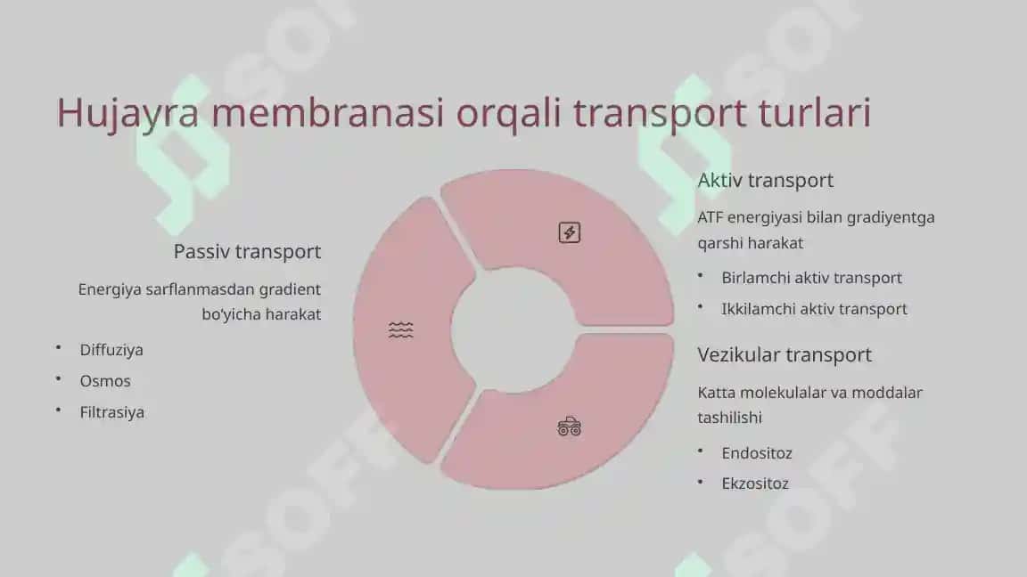 Hujayradagi transport jarayonlari 3