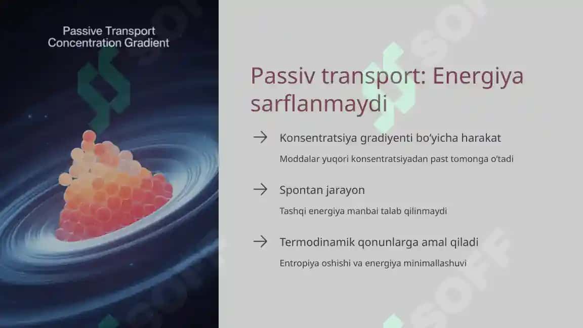 Hujayradagi transport jarayonlari 4