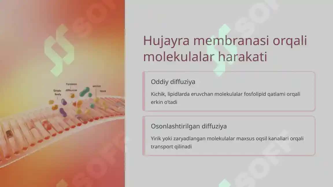 Hujayradagi transport jarayonlari 6