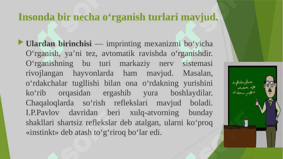 Ta’lim jarayonining psixologik asoslari. 7