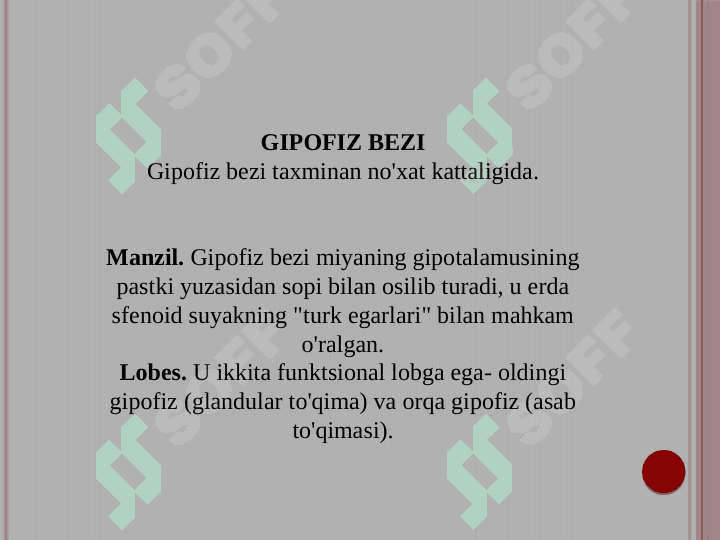 ENDOKRIN TIZIMI, ASAB TIZIMI,  SEZGI A'ZOLARI ONTO-FILOGENEZI 4