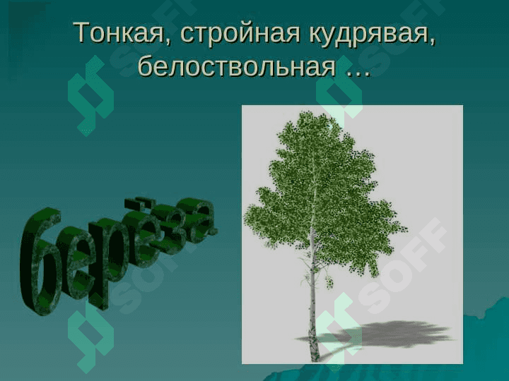Часть речи - прилагательное 2