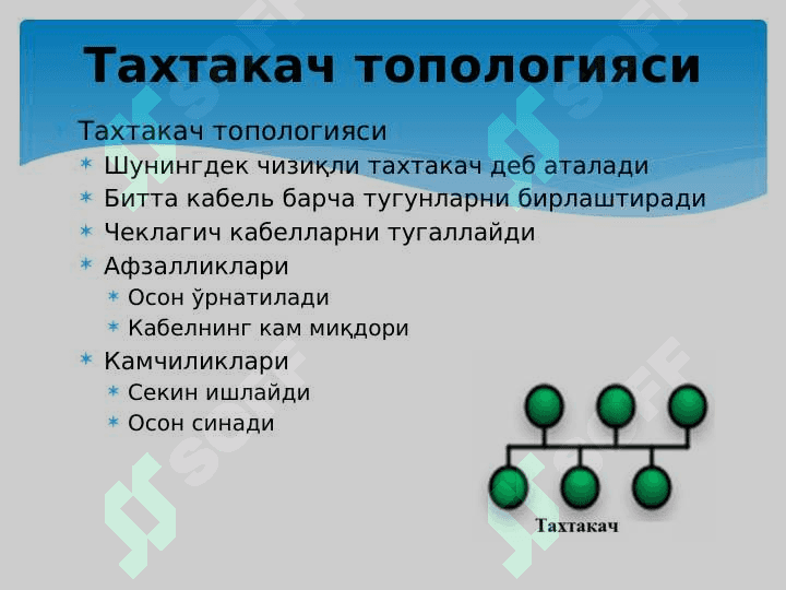TАRMОQ TОPОLОGIYALАRI 6