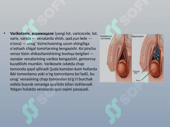 ERKAKLAR VA AYOLLAR TANOSIL A`ZOLARI KASALLIKLARI 4