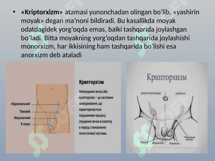 ERKAKLAR VA AYOLLAR TANOSIL A`ZOLARI KASALLIKLARI 5