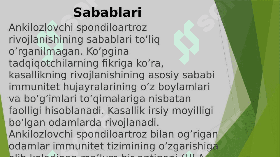 Ankilozlovchi Spondiloartroz(BEXTEREV KASALLIGI) 4