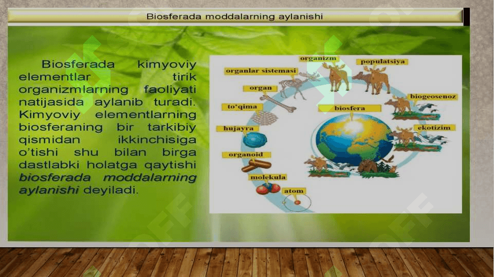 BIOSFERA HAQIDA TUSHUNCHA. VERNADSKIY TA’LIMOTI, NOOSFERA 2