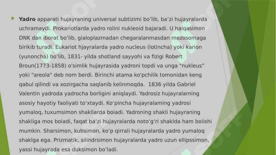 Hujayra yadrosi 3