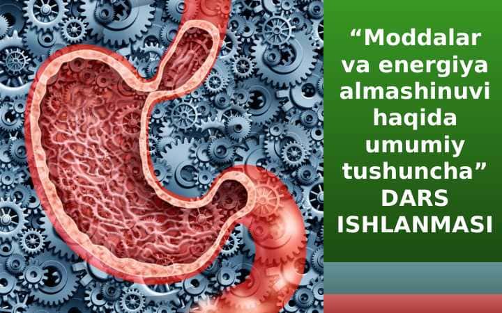 8_sinf_biologiya_Moddalar_energiya_almashinuvi_haqida_umumiy dars ishlanma
