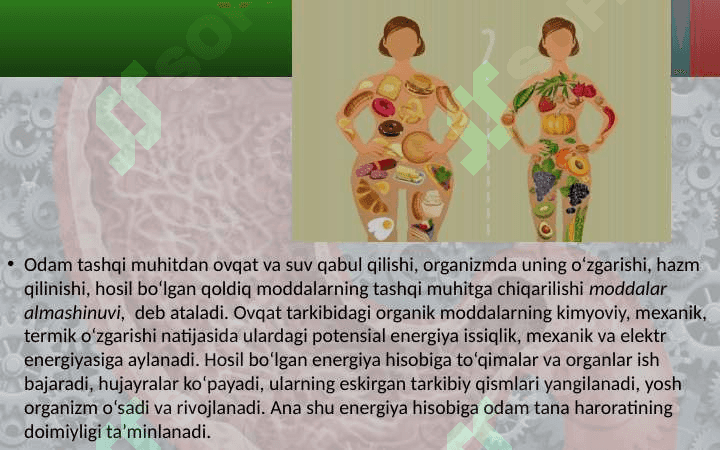8_sinf_biologiya_Moddalar_energiya_almashinuvi_haqida_umumiy dars ishlanma 2