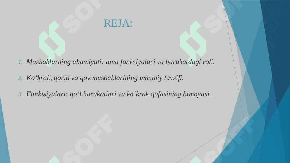 Ko’krak mushaklari Qorin mushaklari. Qov mushaklari 2