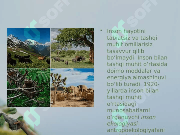 Inson ekologiyasi 2