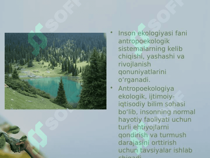 Inson ekologiyasi 3