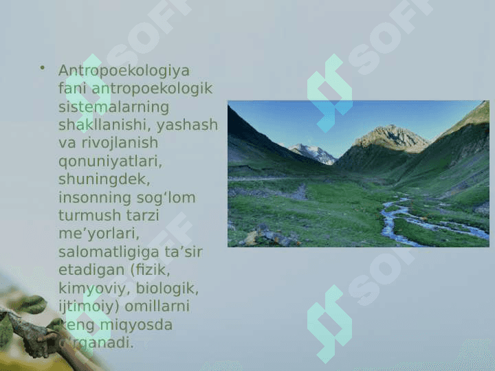 Inson ekologiyasi 6