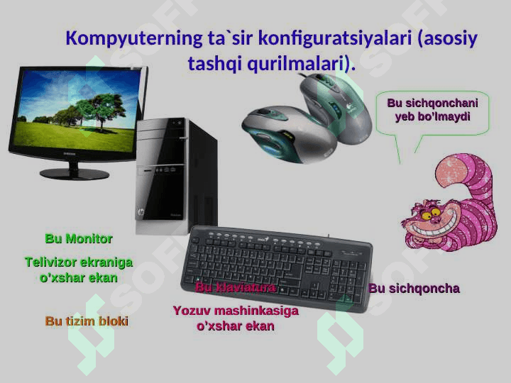 Flesh qurilmalar 3