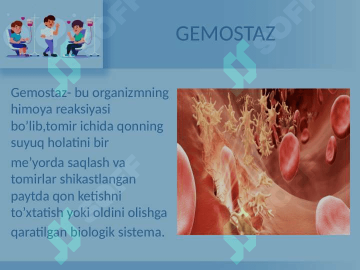 GEMOSTAZ 2