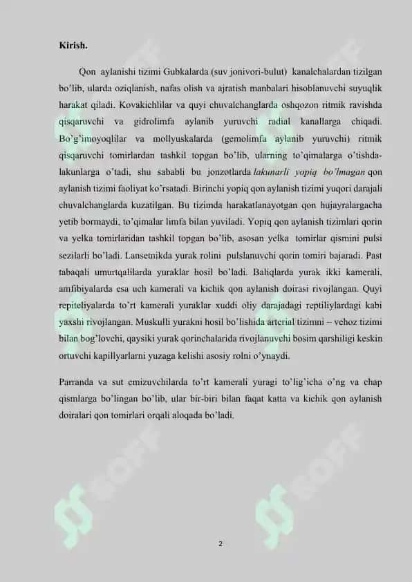 Yurak fizalogiyasi 2