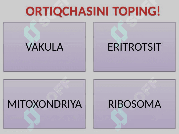 8-SINF ORTIQCHASINI TOP 6