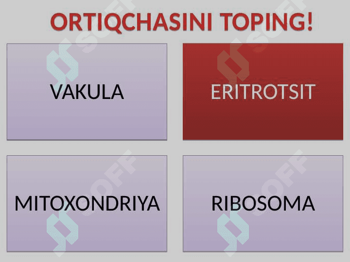 8-SINF ORTIQCHASINI TOP 7