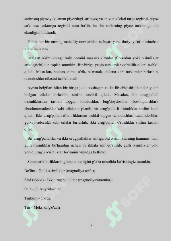 O`simliklar sistematikasi 7