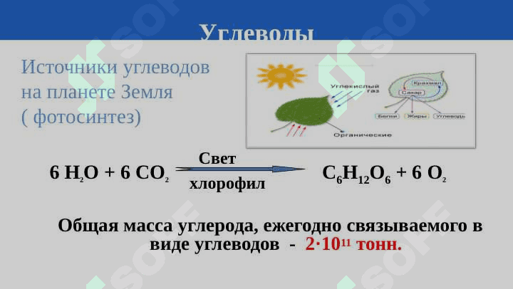 ДИСАХАРИДЫ. ПОЛИСАХАРИДЫ. 4
