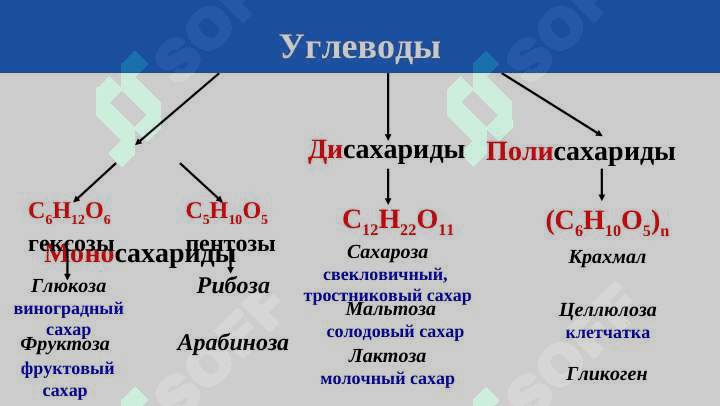 ДИСАХАРИДЫ. ПОЛИСАХАРИДЫ. 5