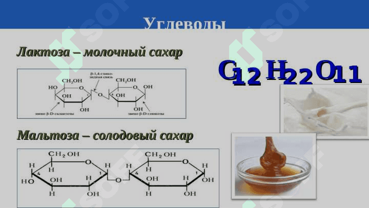 ДИСАХАРИДЫ. ПОЛИСАХАРИДЫ. 7