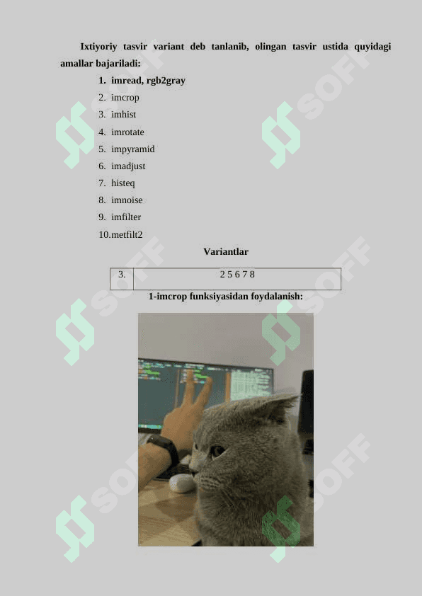 Matlab amaliy paketida tasvirlarga raqamli ishlov berishni o‘rganish. 2