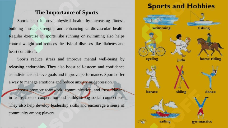 Sports and hobbies 2