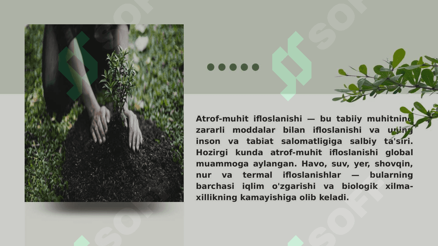Atrof muhit ifloslanishi va uning asosiy turlari 2