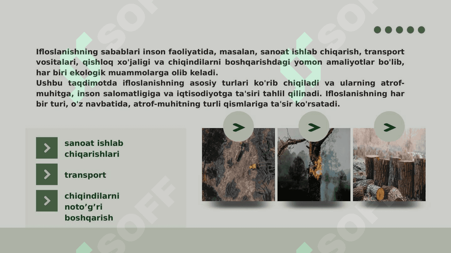 Atrof muhit ifloslanishi va uning asosiy turlari 3