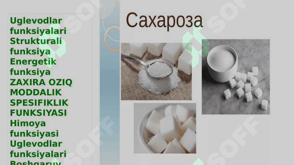 Uglevodlar&lipidlar 4