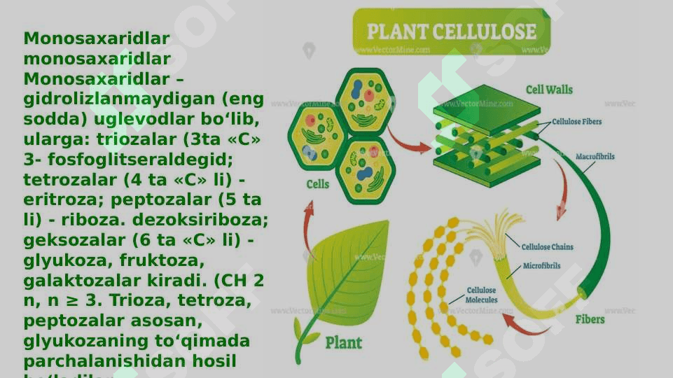 Uglevodlar&lipidlar 5
