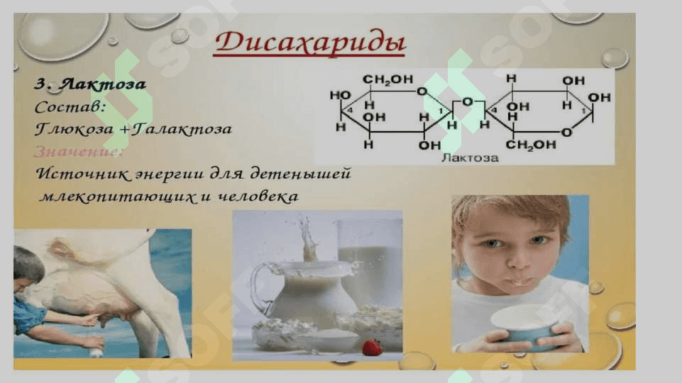 Uglevodlar&lipidlar 7