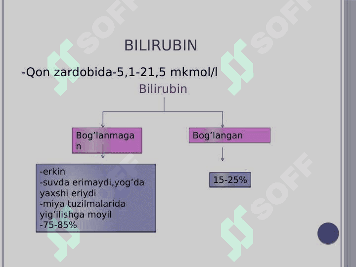 Sariqlik 4