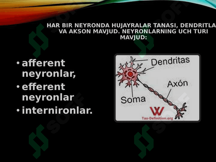 neyron 7