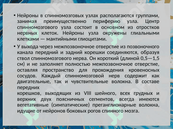 Функциональная анатомия периферической нервной системы. 6